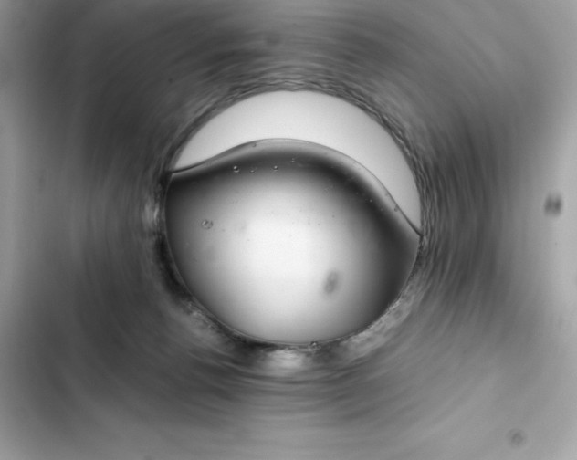 X0000102380176200808151905