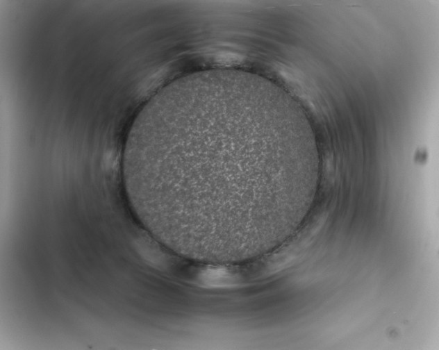 X0000102380177200808151905