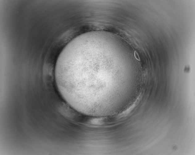 X0000102380178200808151905