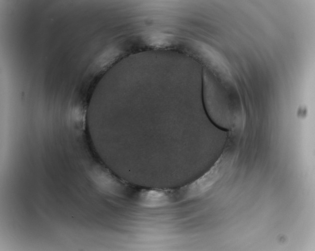 X0000102380180200808151905