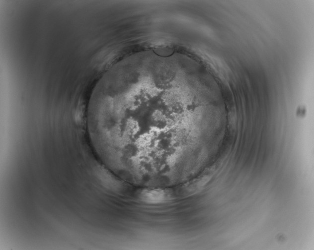 X0000102380181200808151905