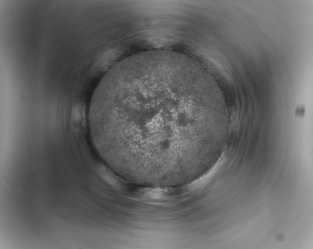 X0000102380182200808151905