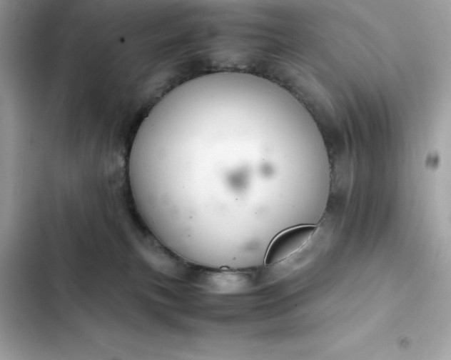 X0000102380183200808151906