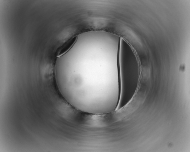 X0000102380184200808151906