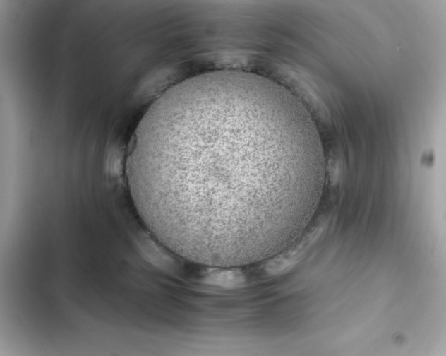 X0000102380185200808151906