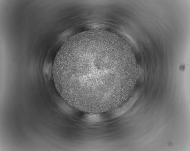 X0000102380189200808151906