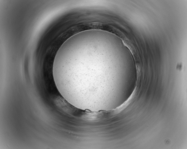 X0000102380190200808151906