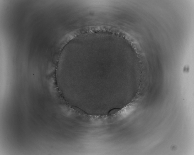 X0000102380192200808151906