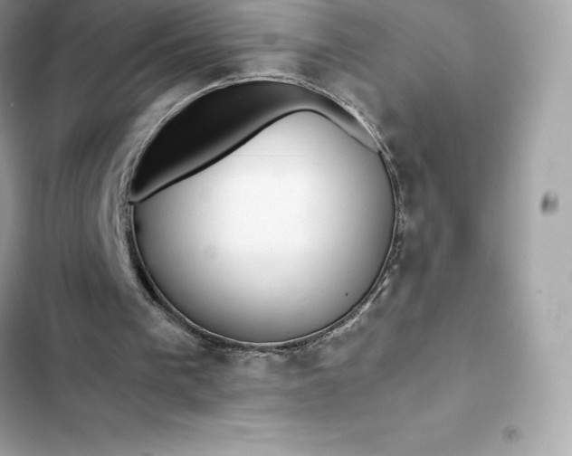 X0000102380193200808151905