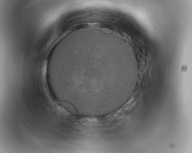 X0000102380194200808151905