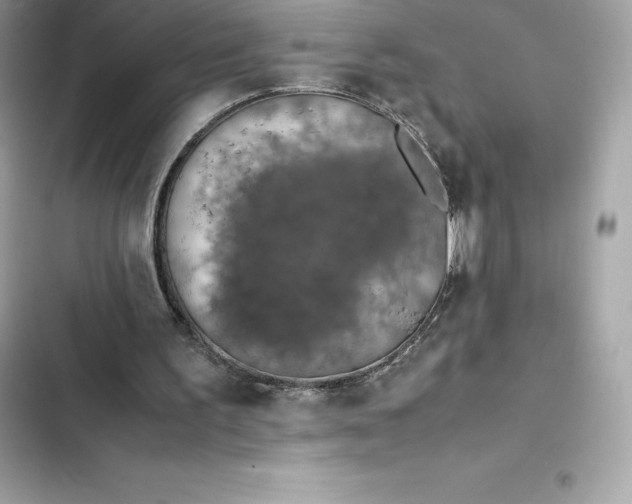 X0000102380195200808151905