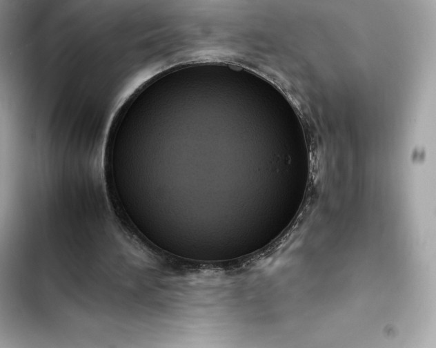 X0000102380196200808151905