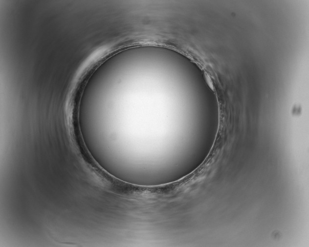 X0000102380197200808151905