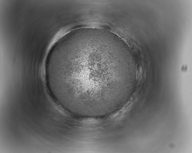 X0000102380198200808151905