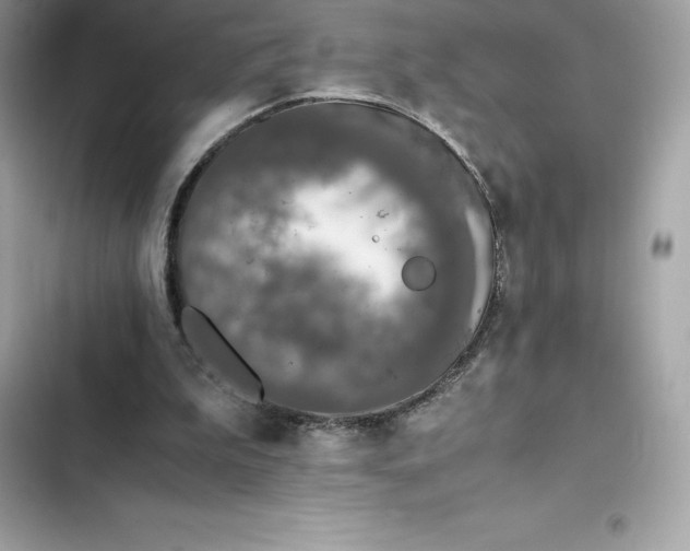 X0000102380199200808151905