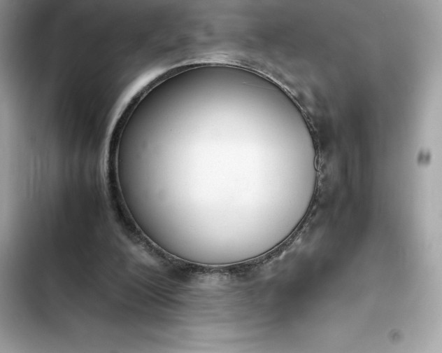 X0000102380200200808151905