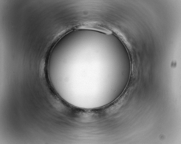 X0000102380201200808151905