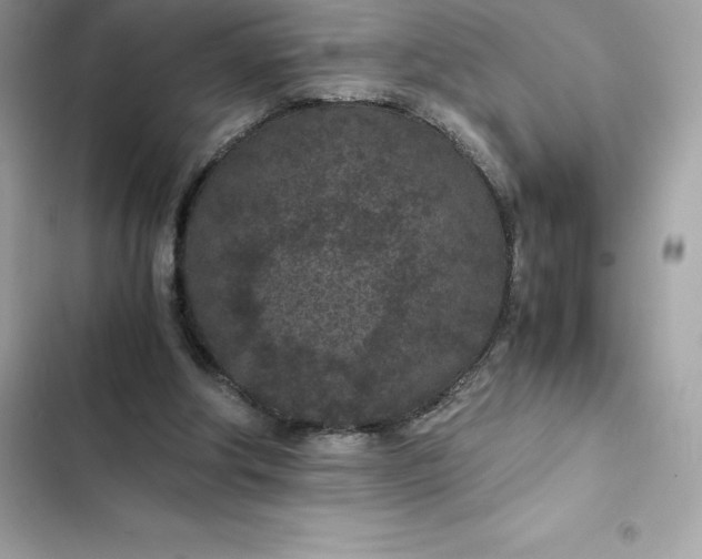 X0000102380202200808151905