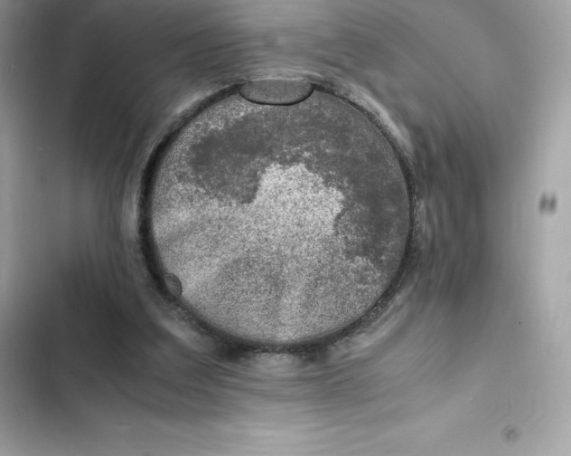 X0000102380203200808151905