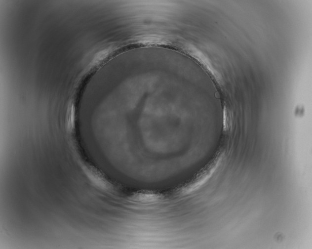 X0000102380205200808151905