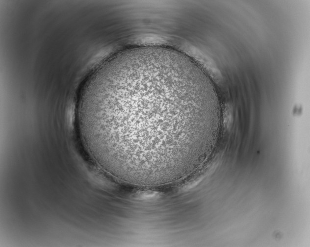 X0000102380206200808151905