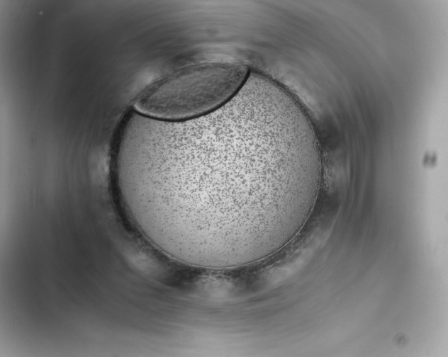 X0000102380207200808151905