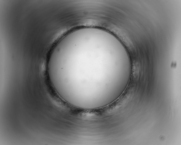 X0000102380208200808151905