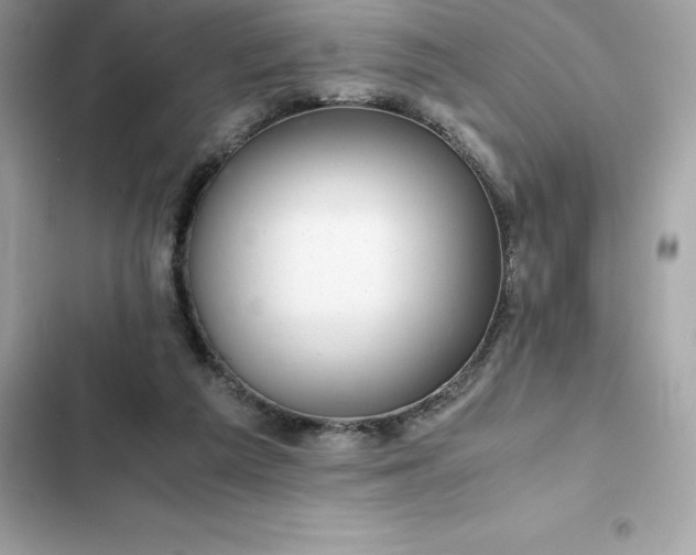 X0000102380209200808151905