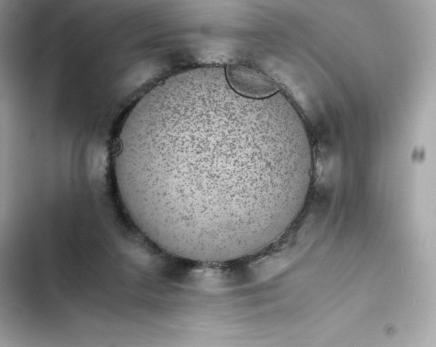 X0000102380211200808151905