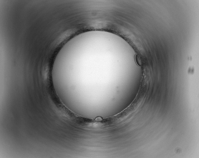 X0000102380212200808151905