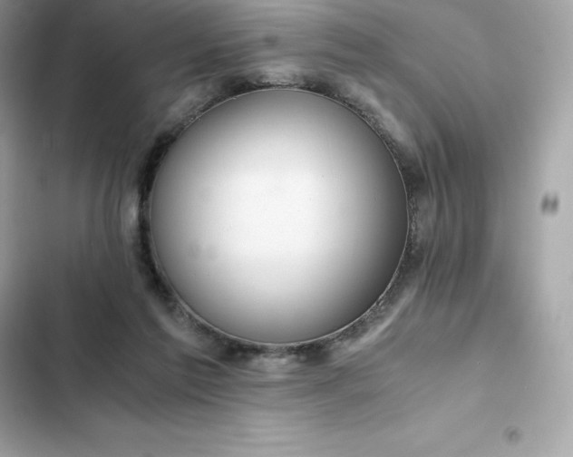 X0000102380213200808151905