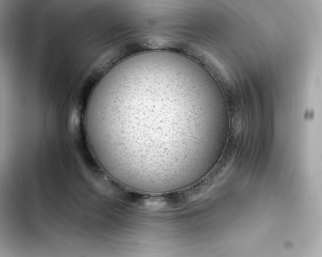 X0000102380214200808151905