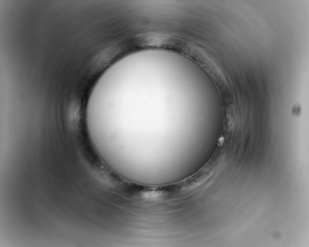 X0000102380216200808151905