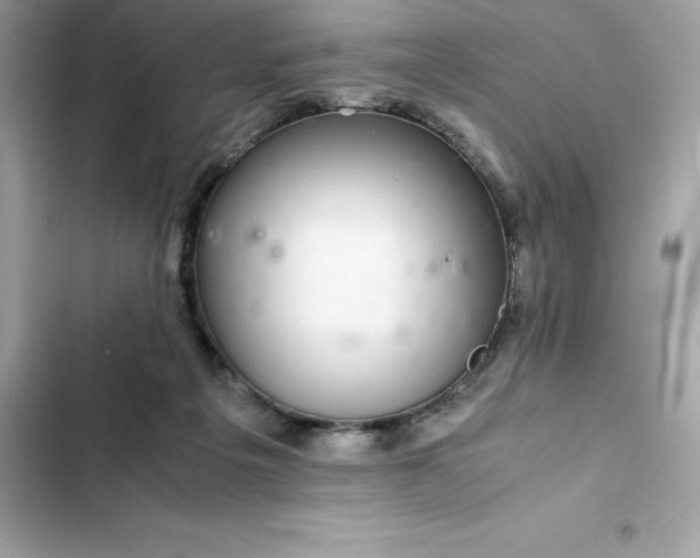 X0000102380217200808151905