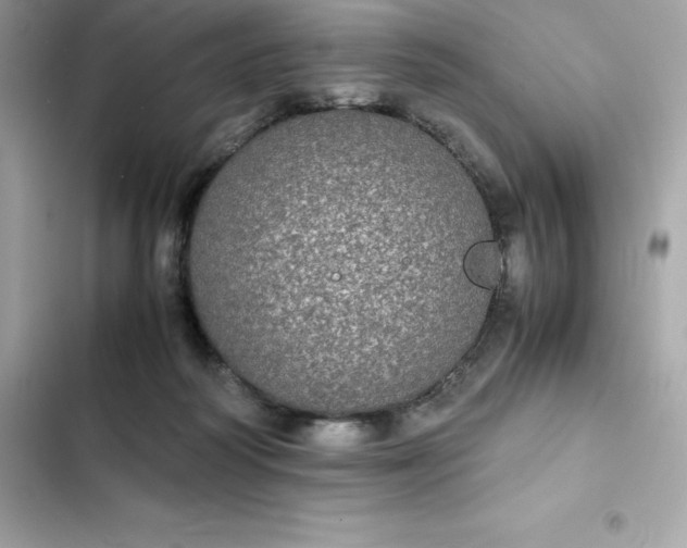 X0000102380218200808151905