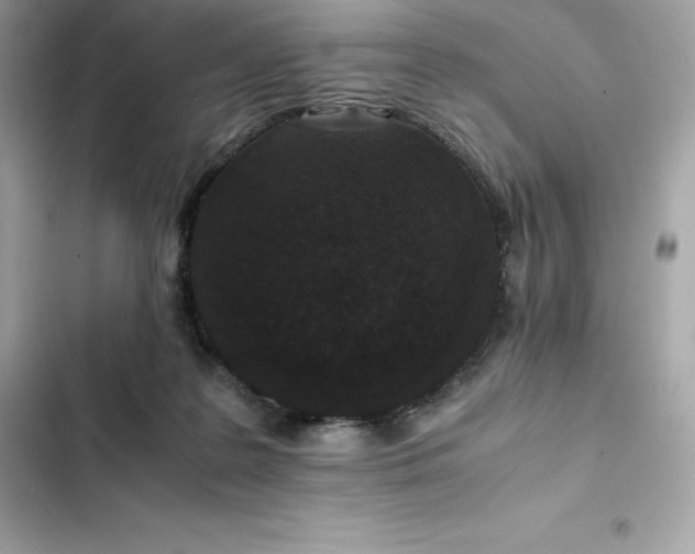 X0000102380219200808151905