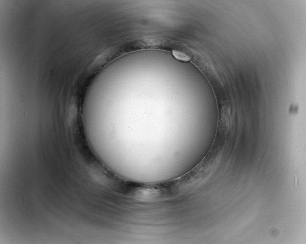 X0000102380220200808151905