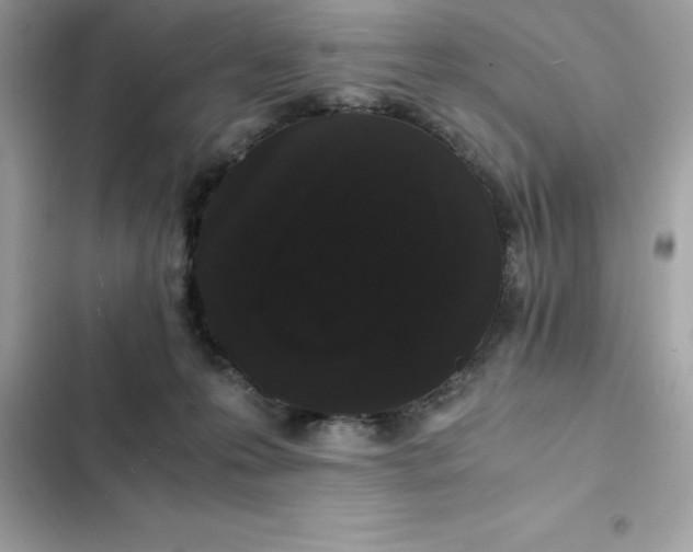 X0000102380223200808151905