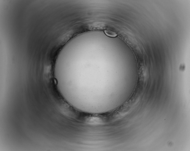 X0000102380224200808151905