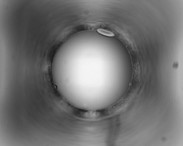 X0000102380225200808151905