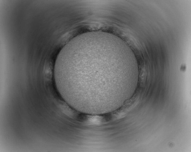 X0000102380226200808151905