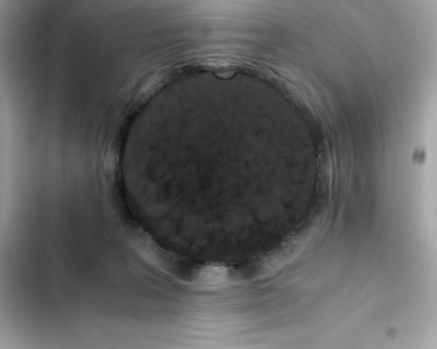 X0000102380227200808151904