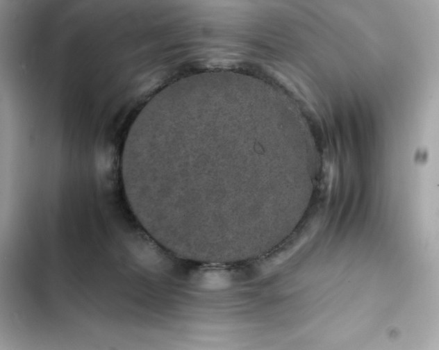 X0000102380228200808151904