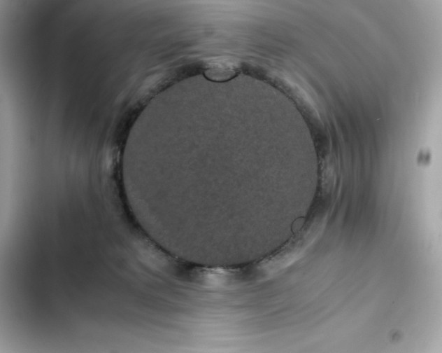 X0000102380229200808151904