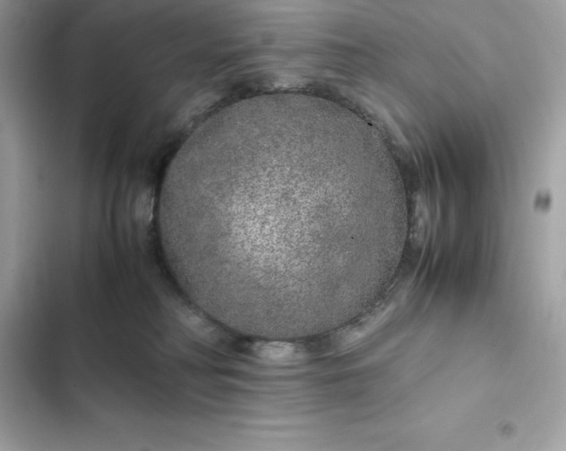 X0000102380230200808151904