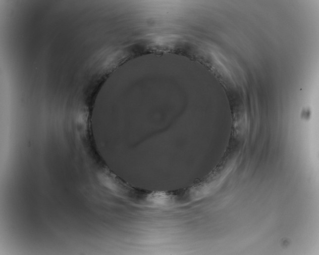 X0000102380231200808151904