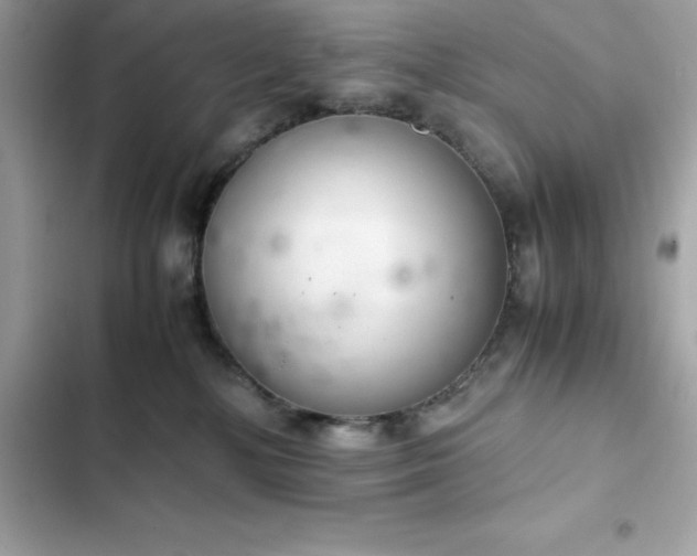 X0000102380232200808151904