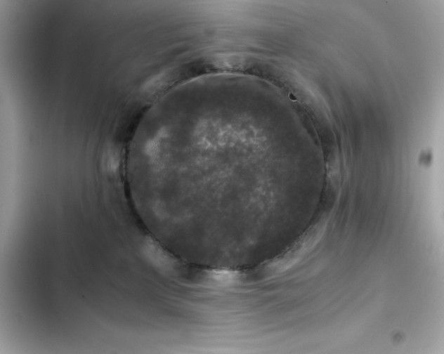 X0000102380233200808151904