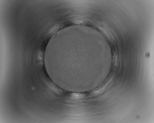 X0000102380234200808151904