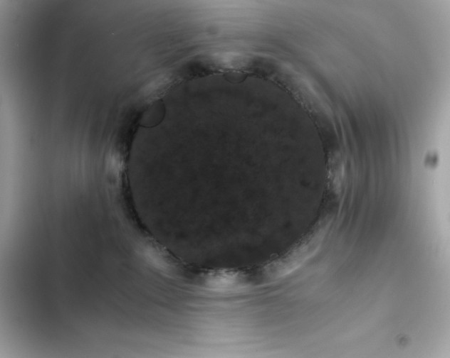 X0000102380235200808151904